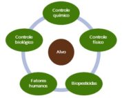 sif, ufv, sociedade de investigações florestais