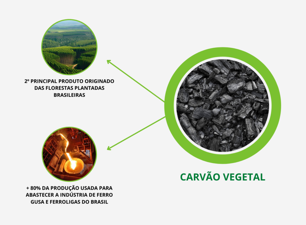 Como o carvão vegetal vai colaborar com a transformação da matriz ...