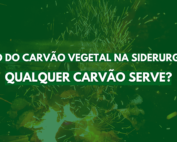 sif, ufv, sociedade de investigações florestais