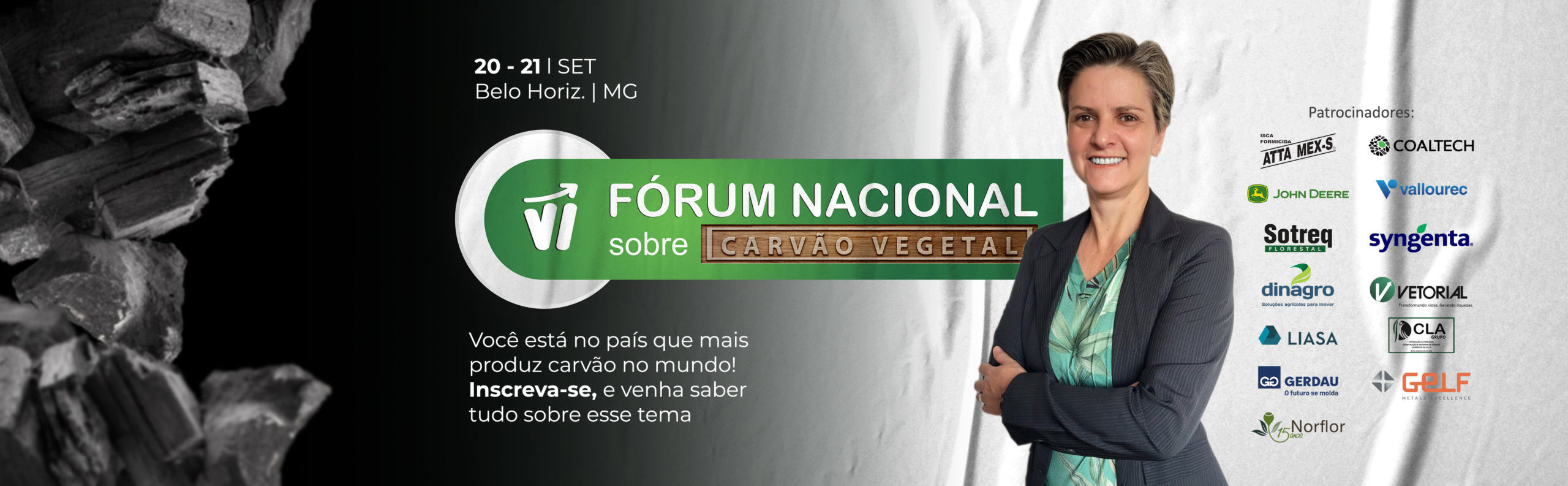 carvão vegetal, carvão, eucalipto, fórum nacional sobre carvão vegetal, ufv