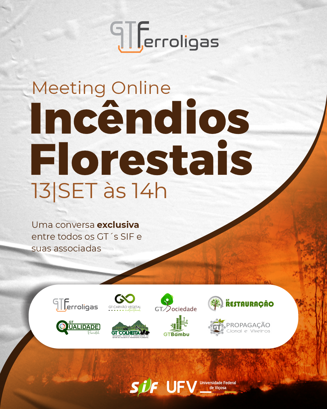 sif, ufv, sociedade de investigações florestais