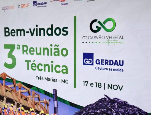 Importância Do Uso Do Carvão Vegetal Pelo Setor De Metalurgia E ...