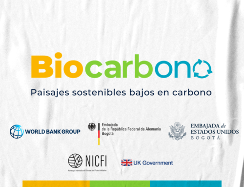 Projeto Biocarbono Orinoquia: Paisajes sostenibles bajos en carbono