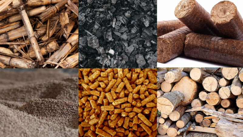 BIOCHAR: Uma alternativa de aproveitamento de resíduos de base ...