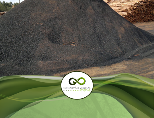 Usos alternativos dos finos do carvão vegetal na indústria