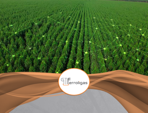 Tecnologias para detecção e predição de pragas e doenças de espécies florestais