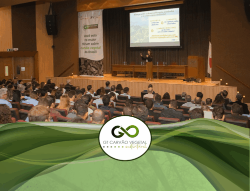 VII Fórum Nacional sobre Carvão Vegetal: o maior evento do mundo sobre o setor