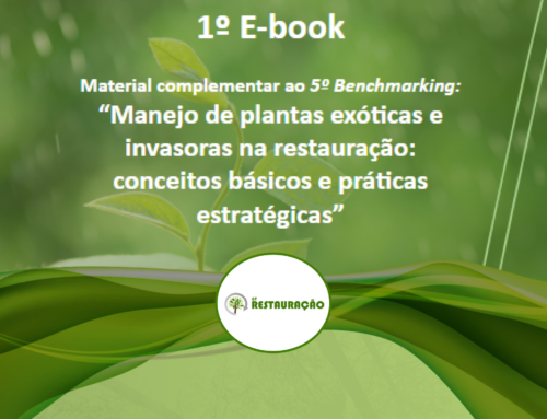 Publicado o 1º E-book do GT Restauração