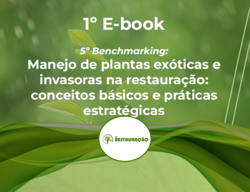 Publicado o 1º E-book do GT Restauração