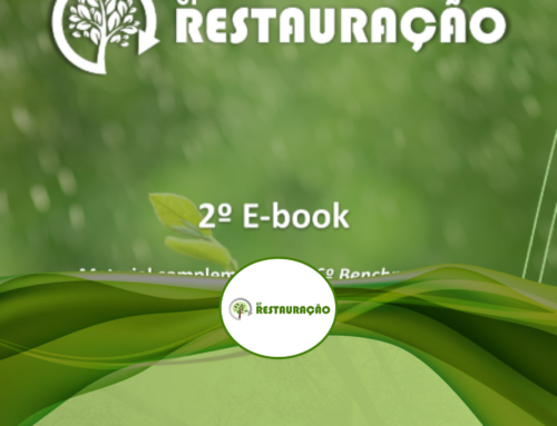 Publicado o 1º E-book do GT Restauração