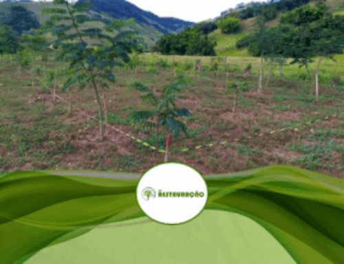 Monitoramento Prático para Restauração Florestal na Mata Atlântica: Conheça o Protocolo LARF-UFV